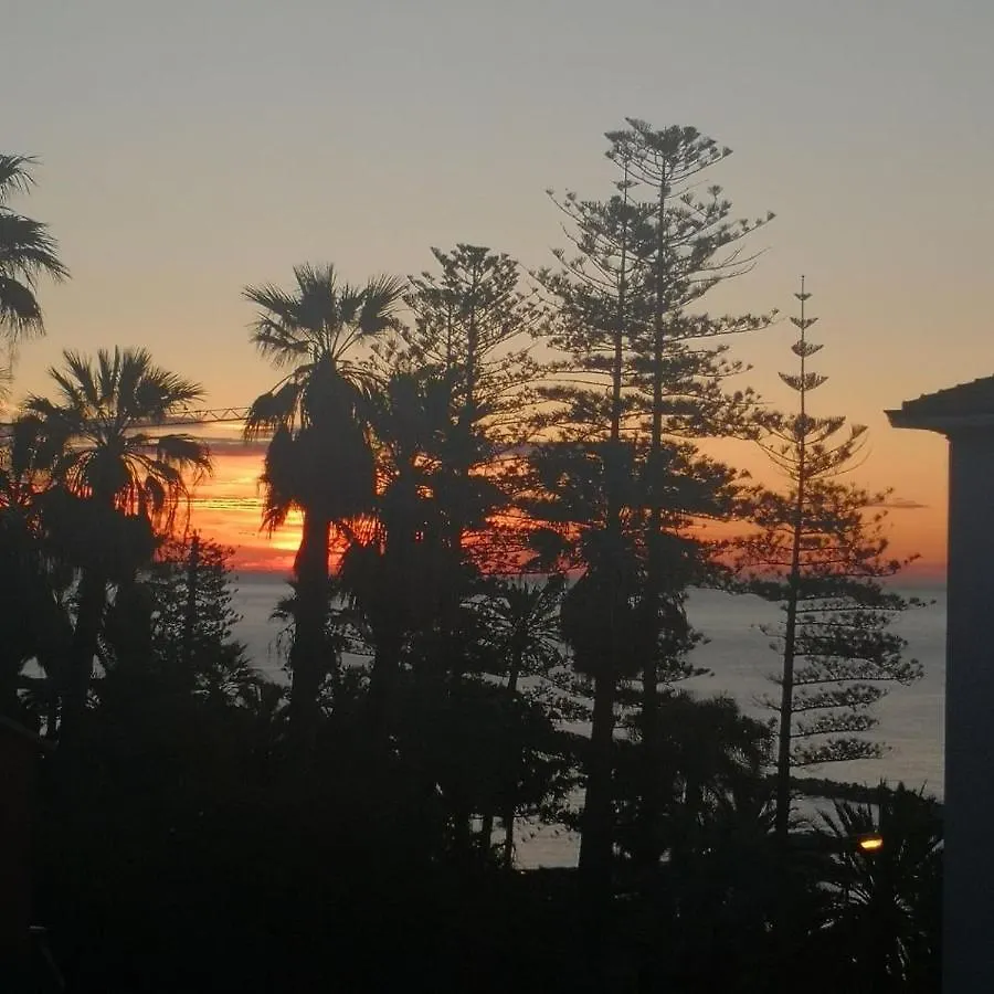 Petit Avec Classe Sanremo